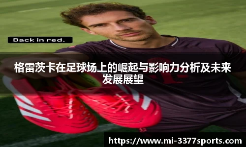 3377体育